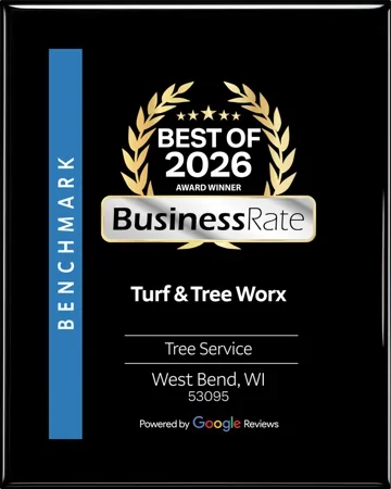 Best of 2026 award winner, BusinessRate, Tree Service, West Bend WI