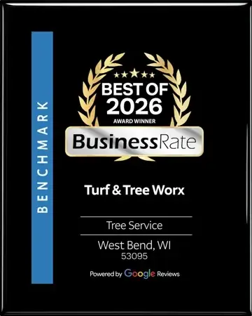 Best of 2026 award winner, BusinessRate, Tree Service, West Bend WI