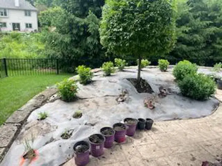 Landscaping and patios work by Turf & Tree Worx