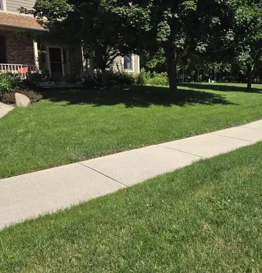 Lawn along the walk after