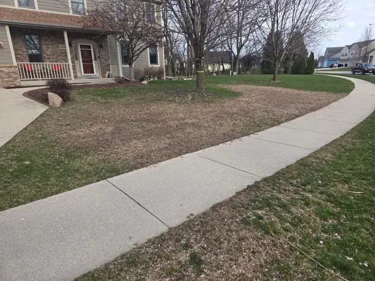 Lawn along the walk before