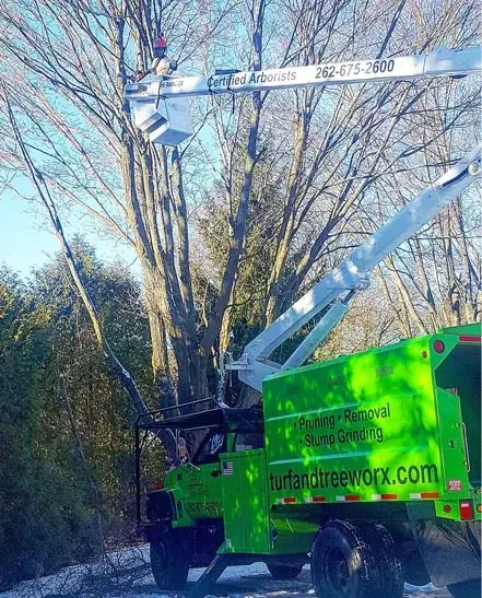Trees work by Turf & Tree Worx