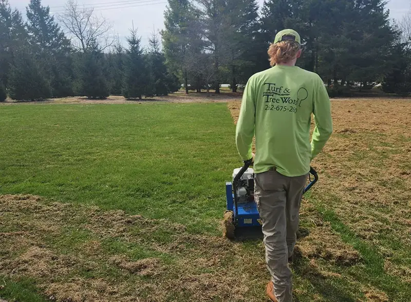Dethatching by Turf & Tree Worx