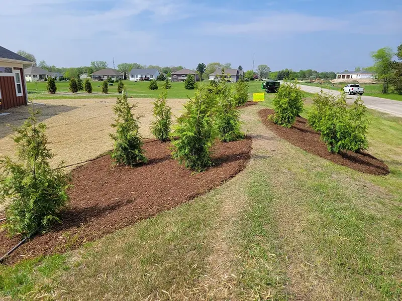 Mulching by Turf & Tree Worx